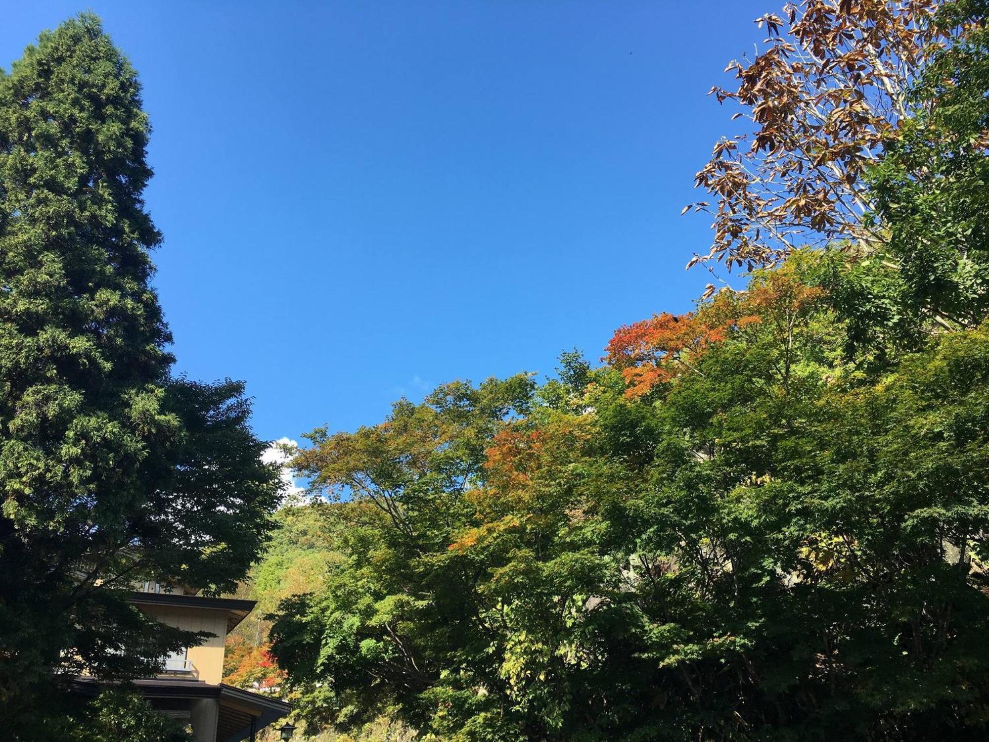 Takaragawa Onsen Ousenkaku Hotel Minakami Kültér fotó