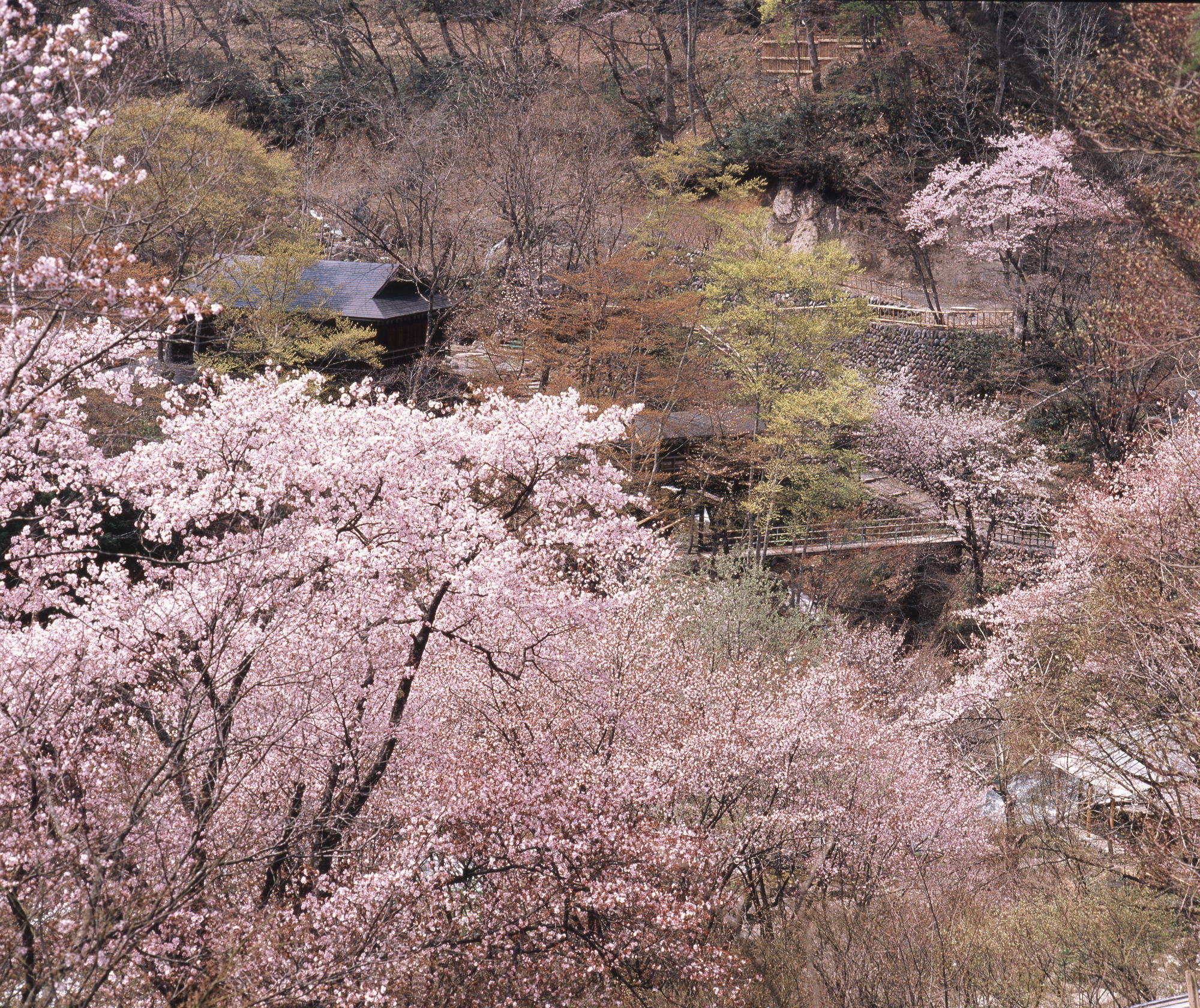 Takaragawa Onsen Ousenkaku Hotel Minakami Kültér fotó